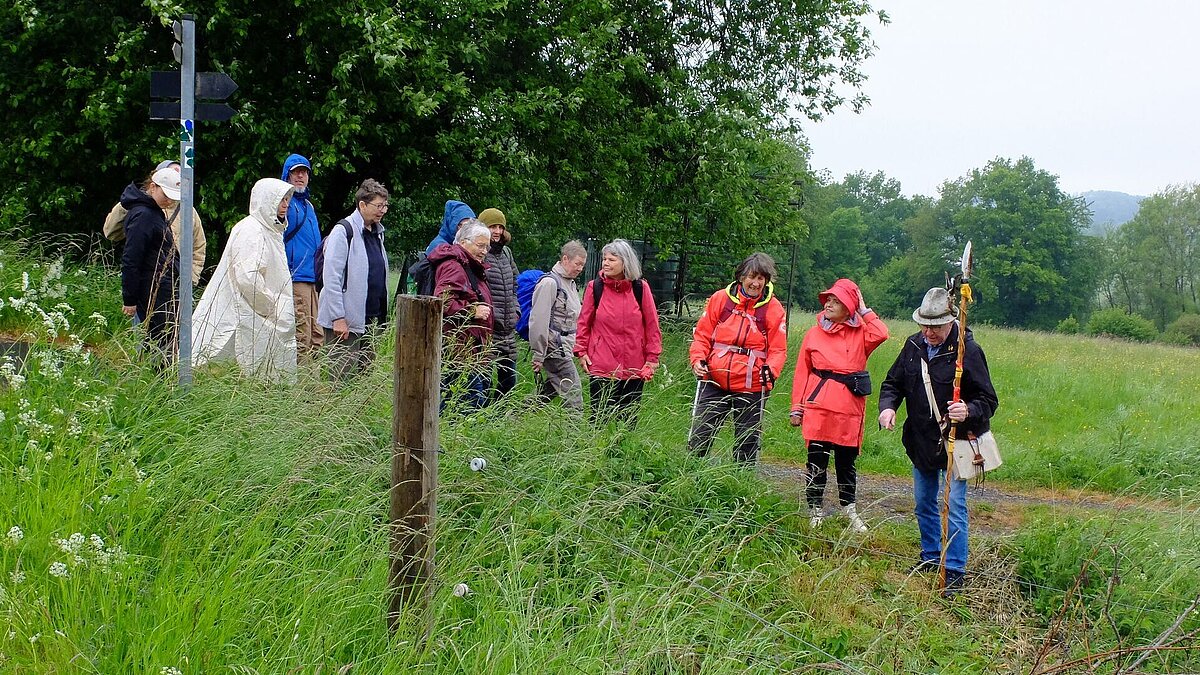 Wandergruppe unterwegs: Viel Natur im Westerwald