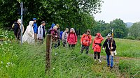 Wandergruppe unterwegs: Viel Natur im Westerwald