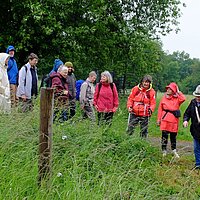 Wandergruppe unterwegs: Viel Natur im Westerwald
