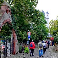 Fahrt nach Eltville