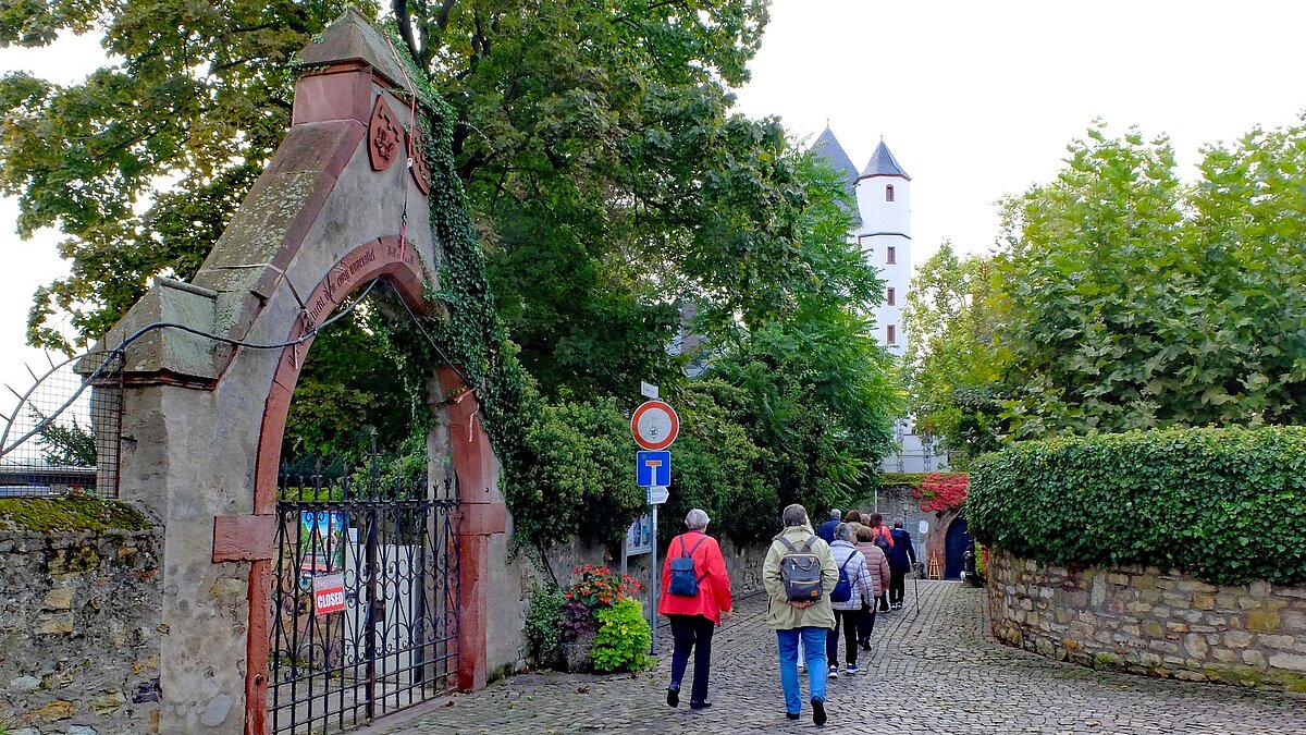 Fahrt nach Eltville